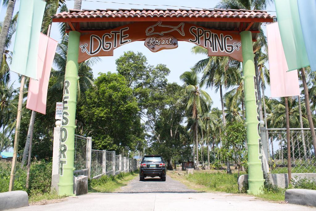 Dumaguete Springs Beach Resort Dumaguete City Exterior photo